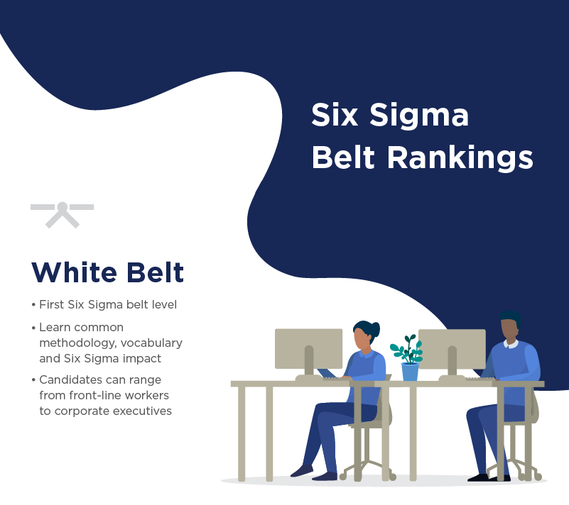 Concept of the role of a Six Sigma White Belt