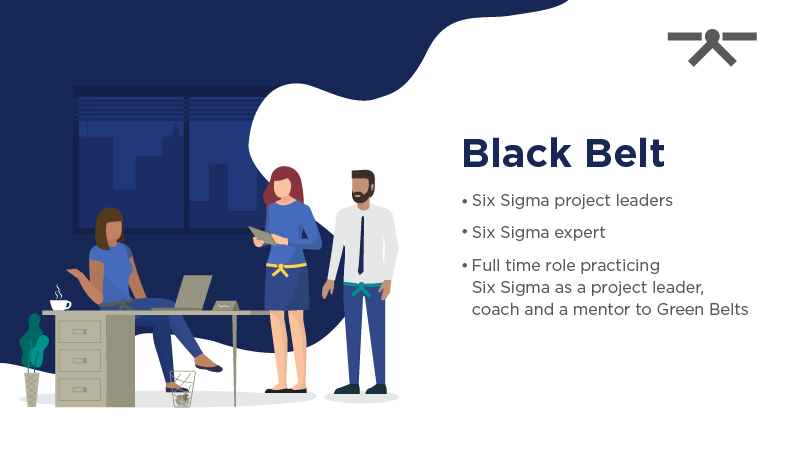 Concept of the role of a Six Sigma Black Belt