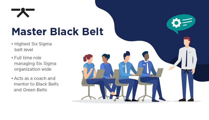 Concept of the role of a Six Sigma Master Black Belt